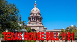 Supreme Court to Review Texas Porn Law - House Bill 1181 'age verification' law under review.