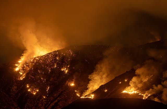 BonePage.com invites you to help Los Angeles Fire Victims. Find out how in this article.